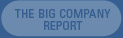 The BIG COMPANY Report